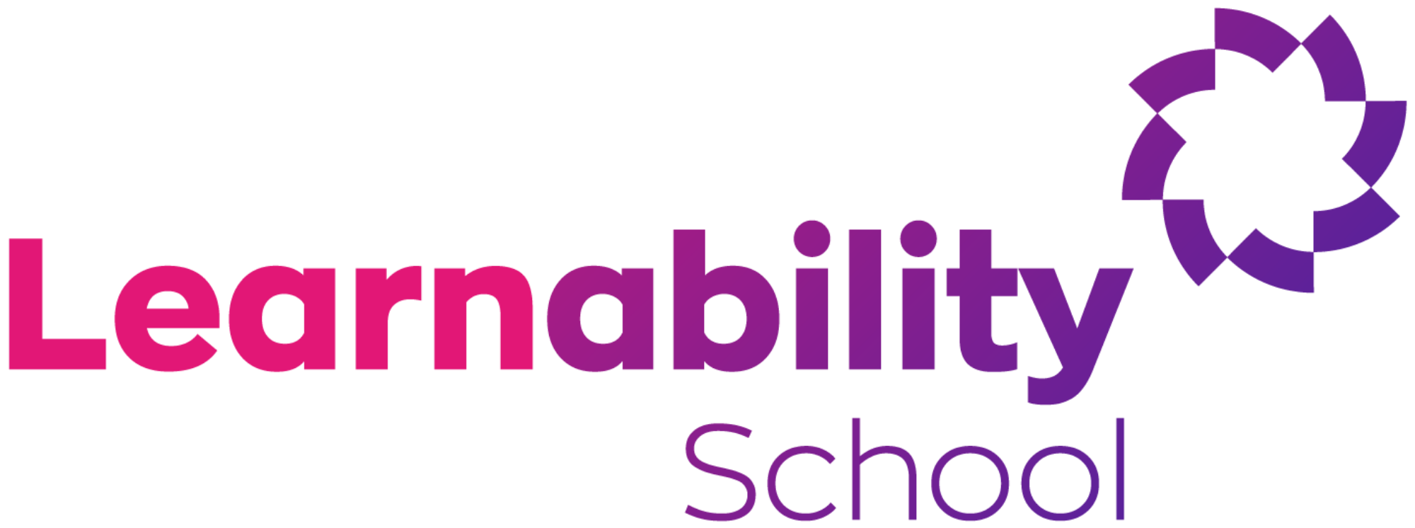 Learnability School